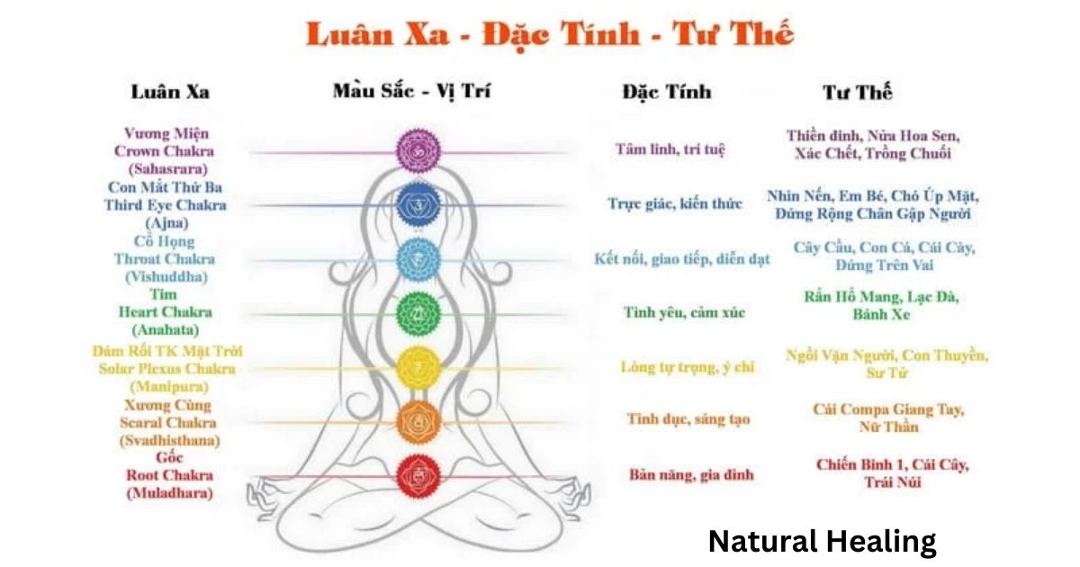 vi tri luan xa 1